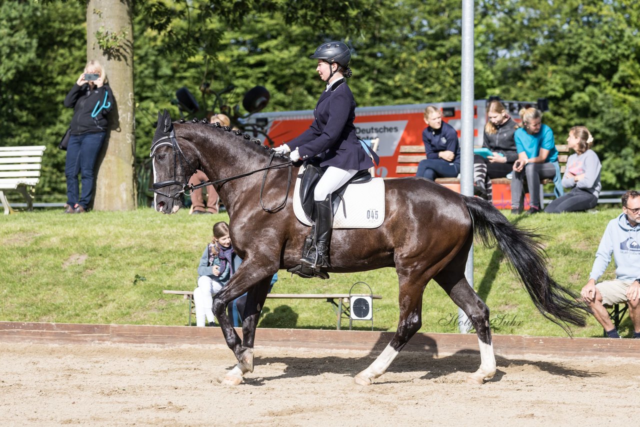 Bild 450 - Pony Akademie Turnier